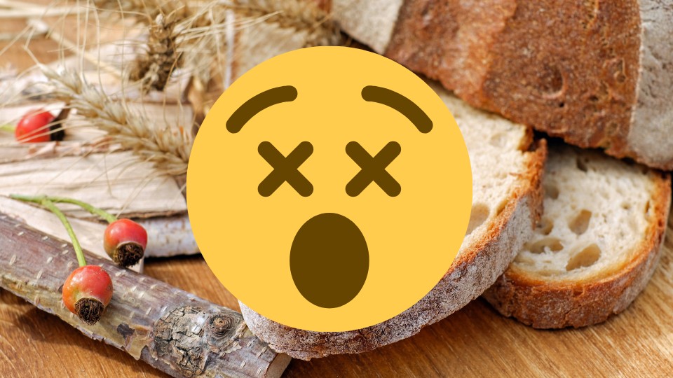 Macht Brot dumm?