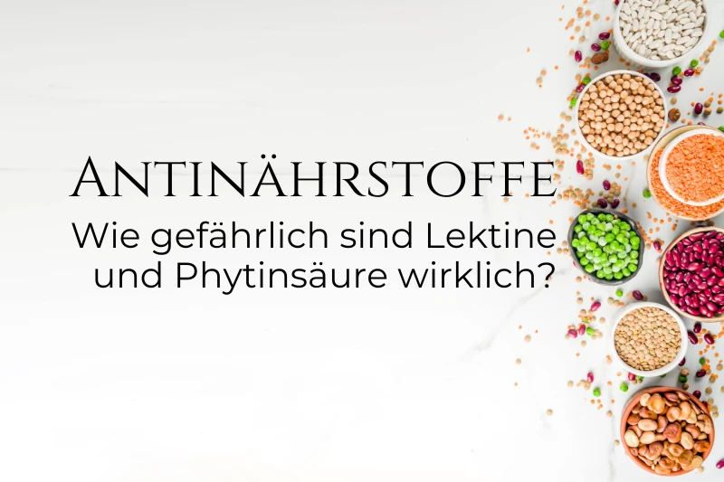 Verschiedene bunte Hülsenfrüchte wie Linsen, Kichererbsen und Bohnen auf hellem Hintergrund mit dem Text: Antinährstoffe – Wie gefährlich sind Lektine und Phytinsäure wirklich?
