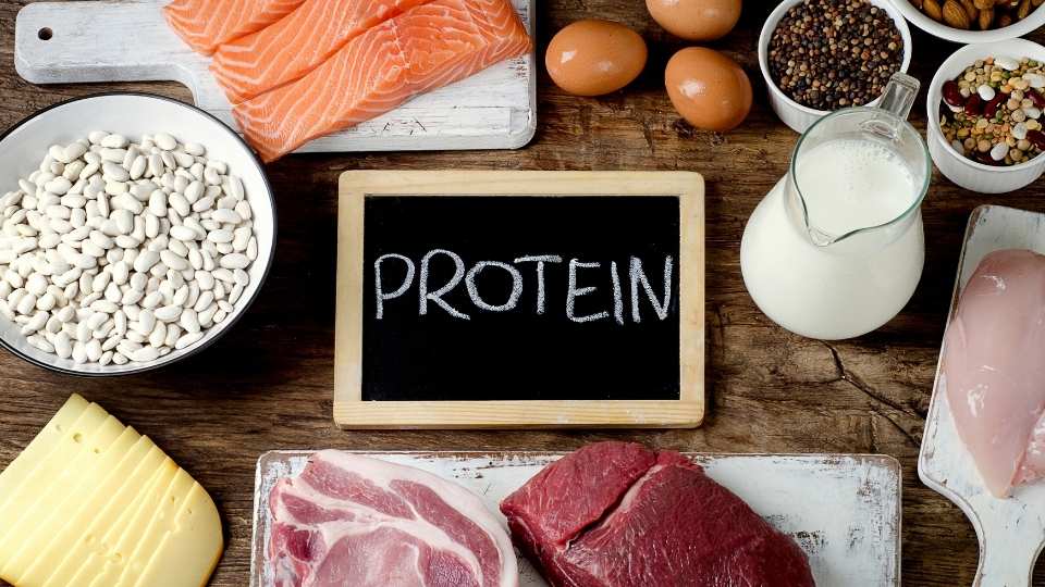 Protein und Gesundheit