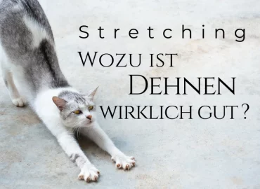 Stretching – Warum und wann solltest du dich dehnen?