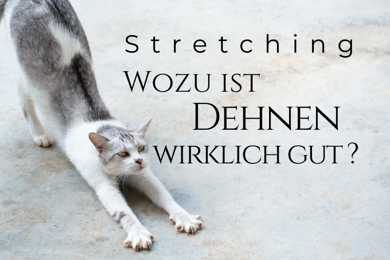 Stretching – Warum und wann solltest du dich dehnen?