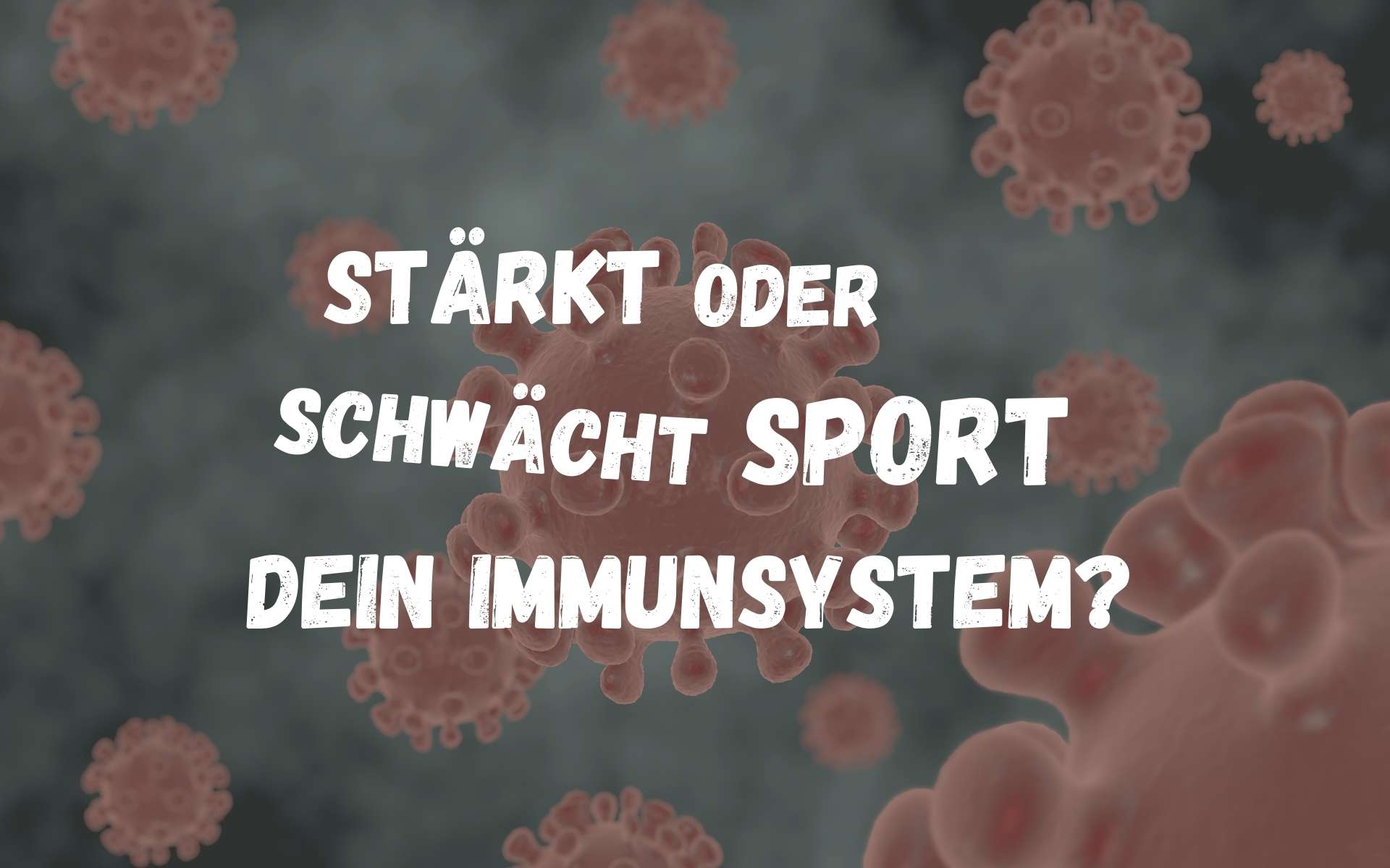 Stärkt oder schwächt Sport dein Immunsystem?