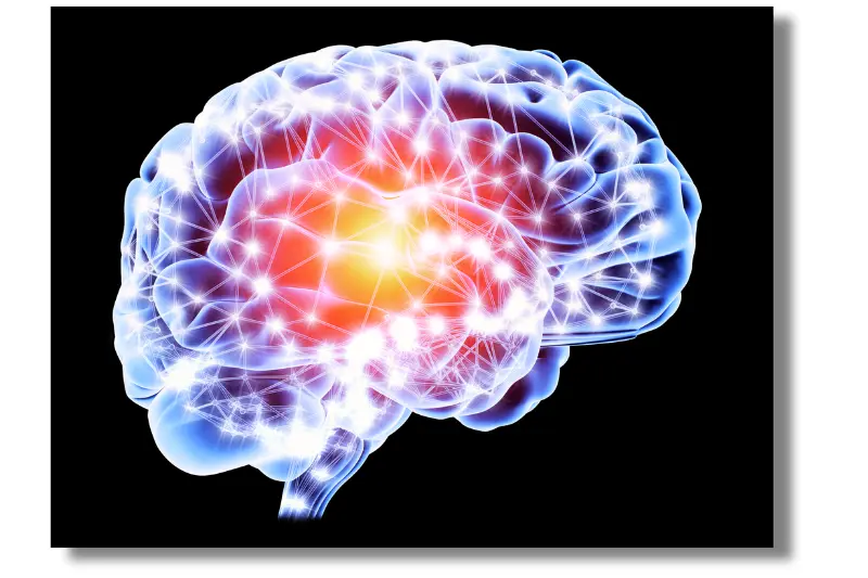 Symbolbild des Gehirns: Die Neurobiologie der Satzpausen